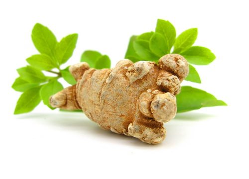 风行滋补药行