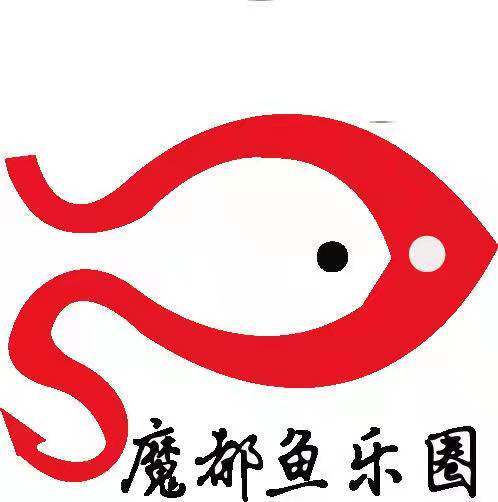 魔都鱼乐圈