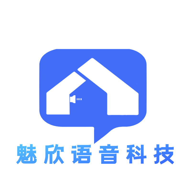 魅欣语音科技