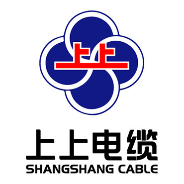上上电工旗舰店