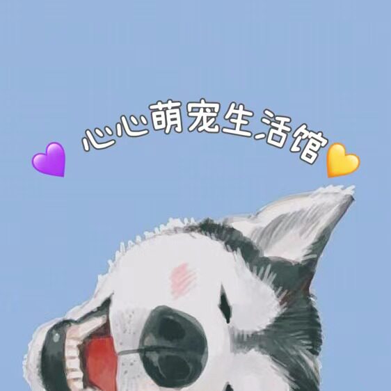 心心萌宠生活馆