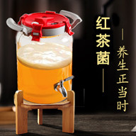 养生菌 店铺LOGO