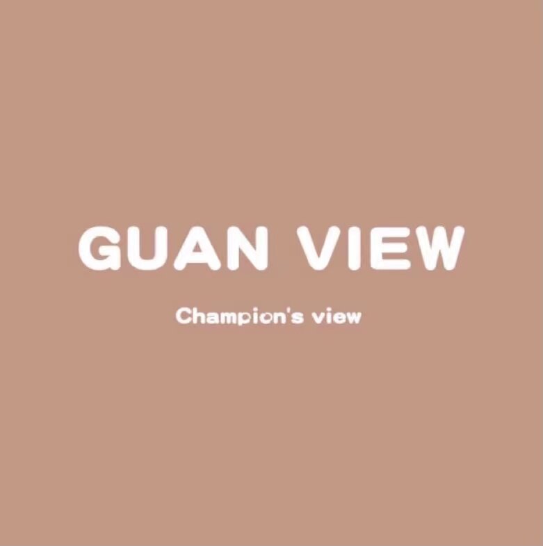 GUANVIEW旗舰店