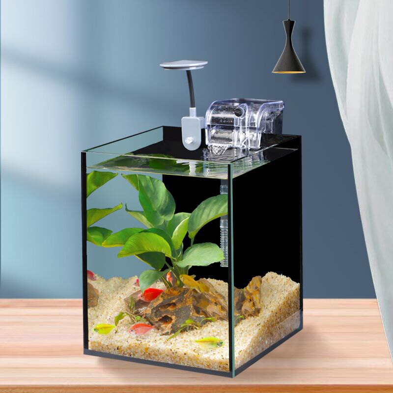 清浅水族商贸