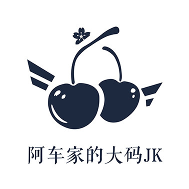 阿车家的大码jk