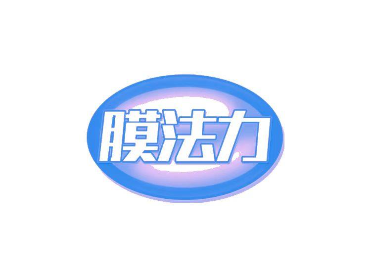 膜法力旗舰店