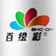 百绘彩旗舰店
