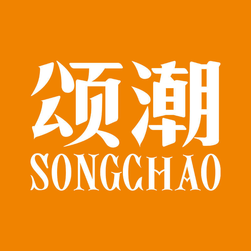 颂潮食品旗舰店