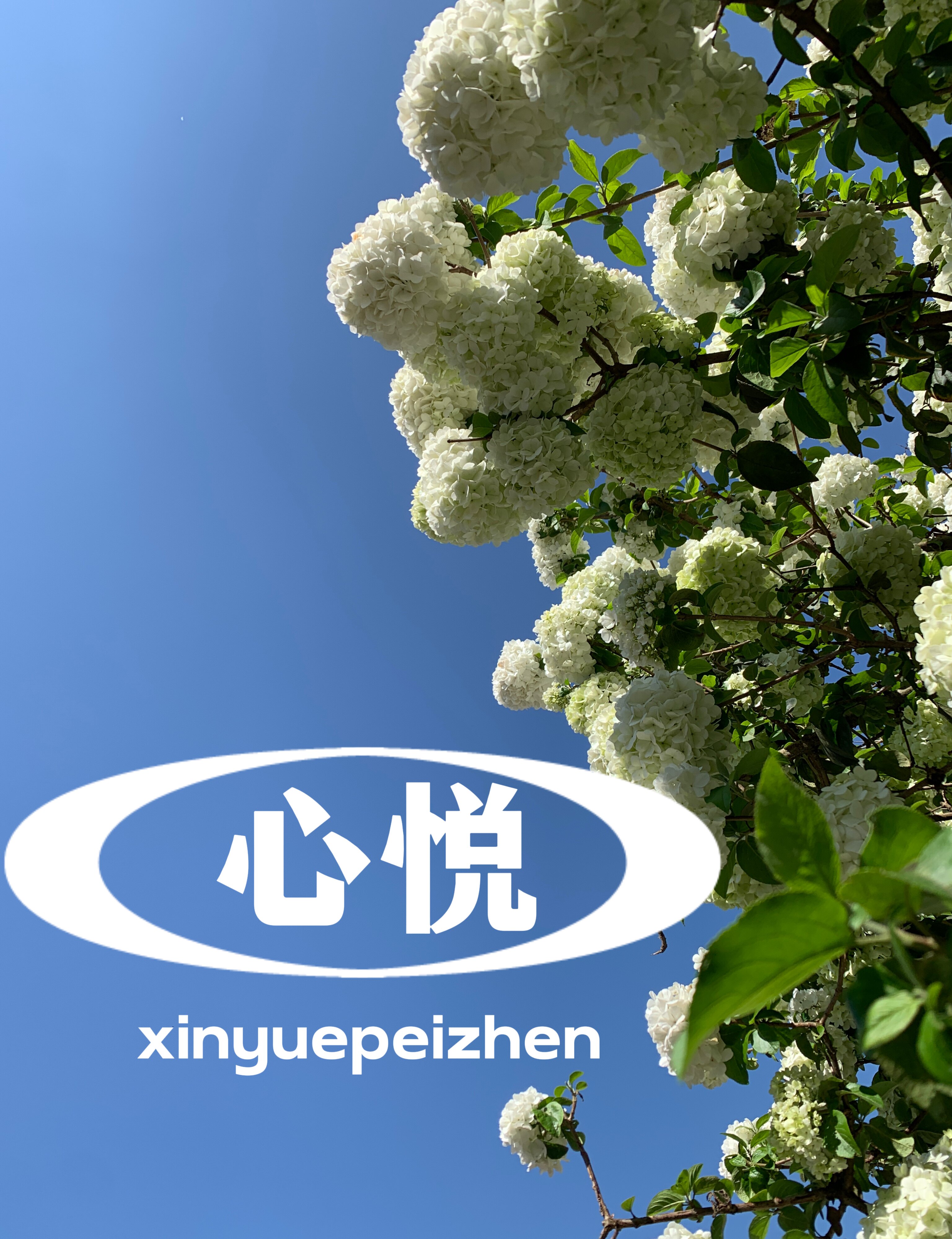 成都心悦陪诊