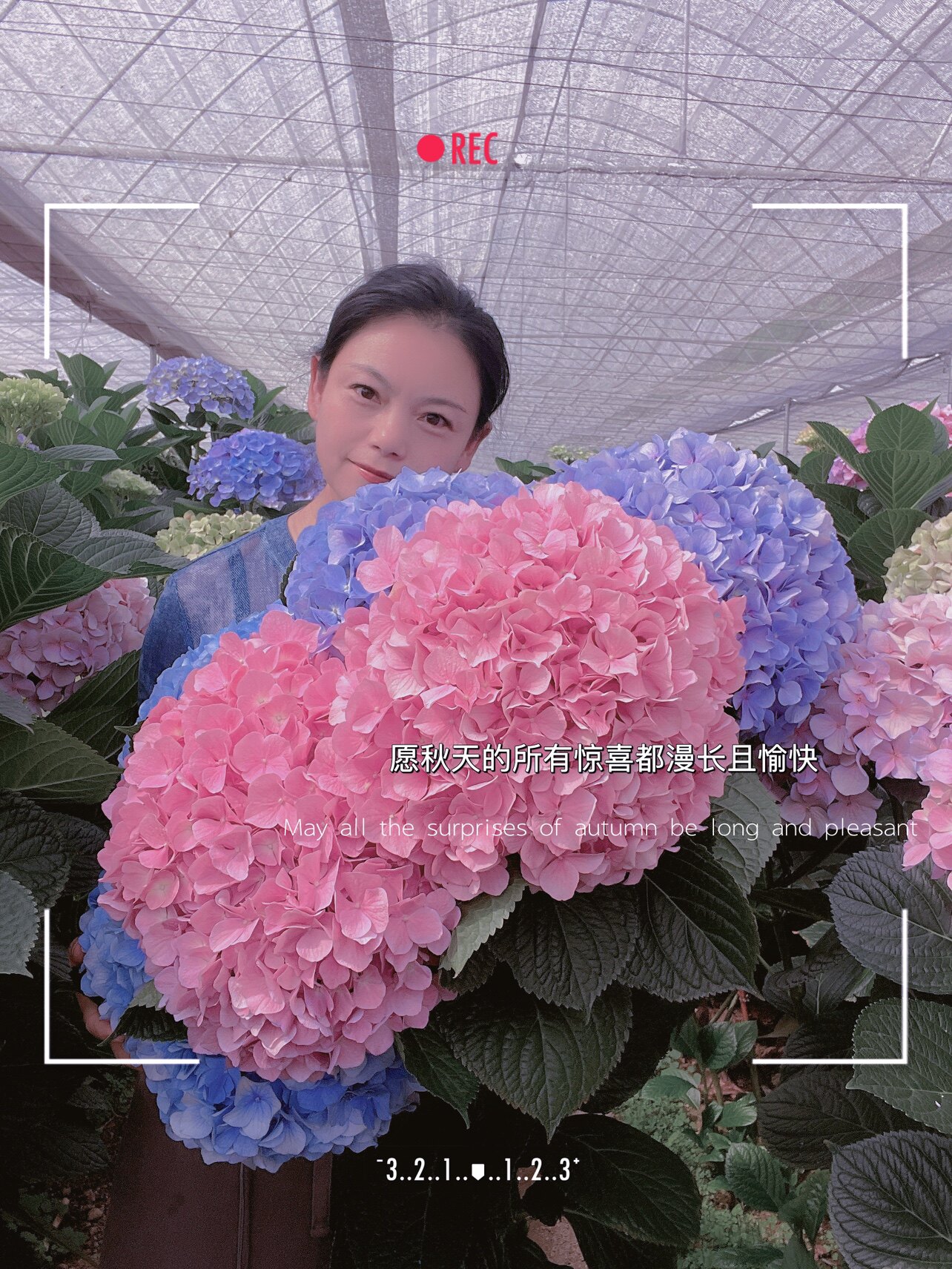 春不晚小园11