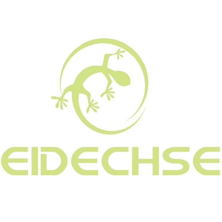 EIDECHSE企业店