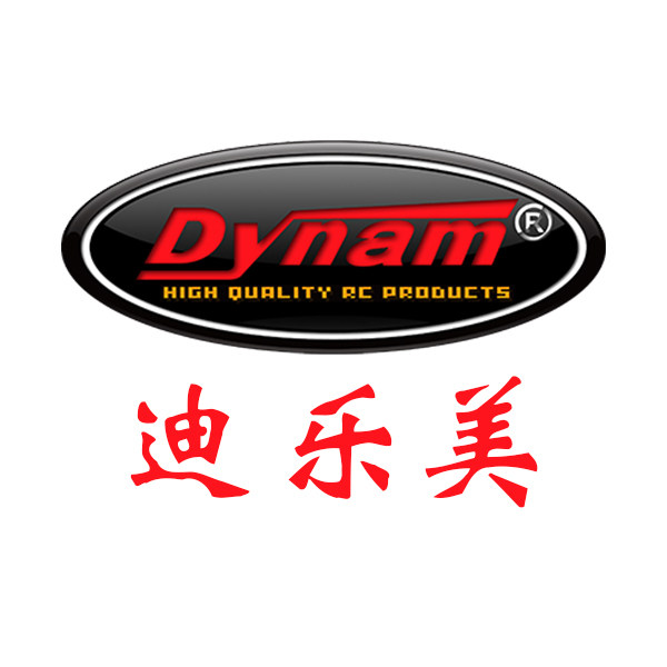 dynam迪乐美模型