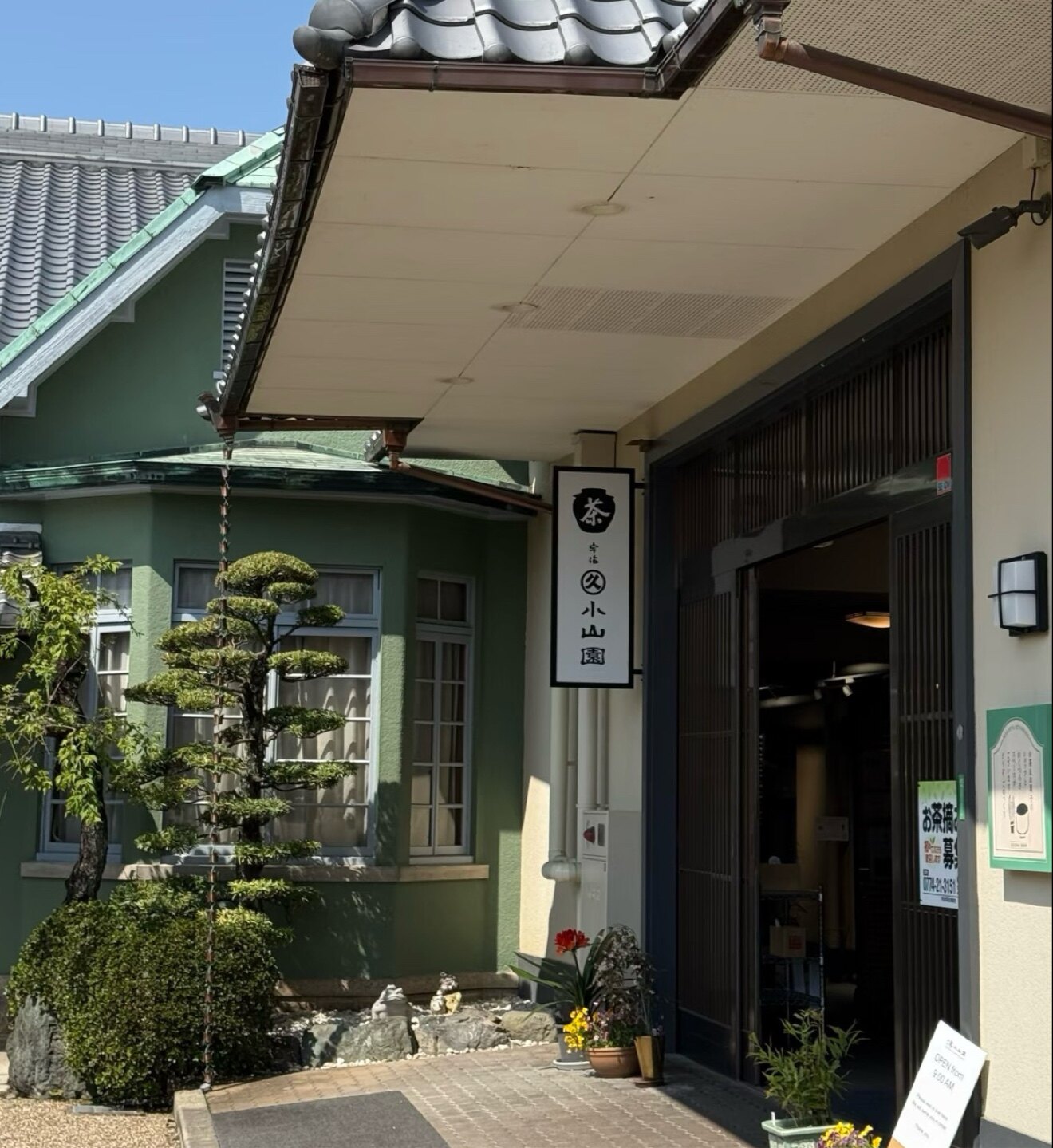 日本小山园抹茶 婷婷正品购
