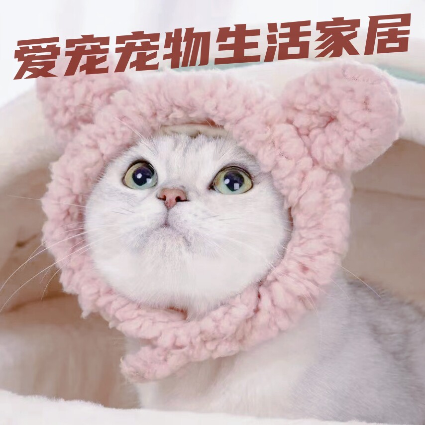 爱宠宠物生活家居
