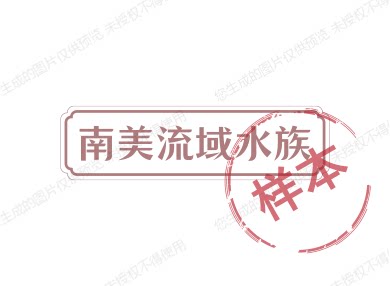南美流域水族