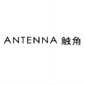 ANTENNA触角