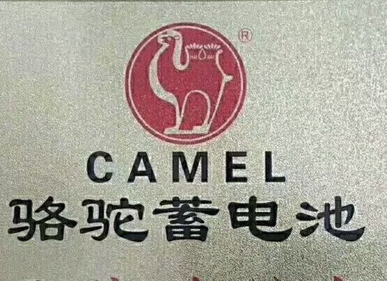 汽车蓄电池之家
