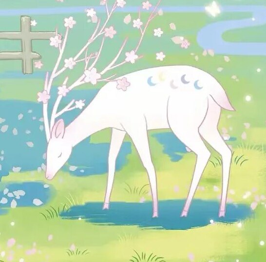 灵猫小女巫
