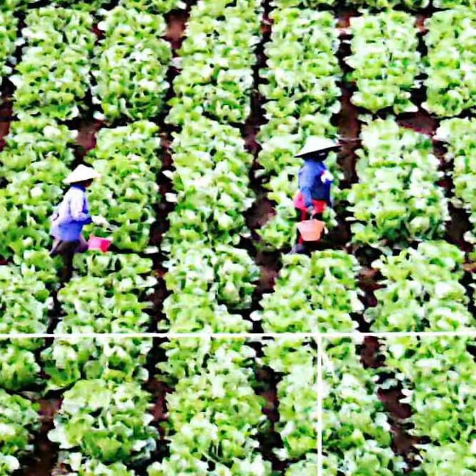 禾源农植保
