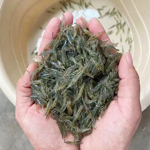 皓之家