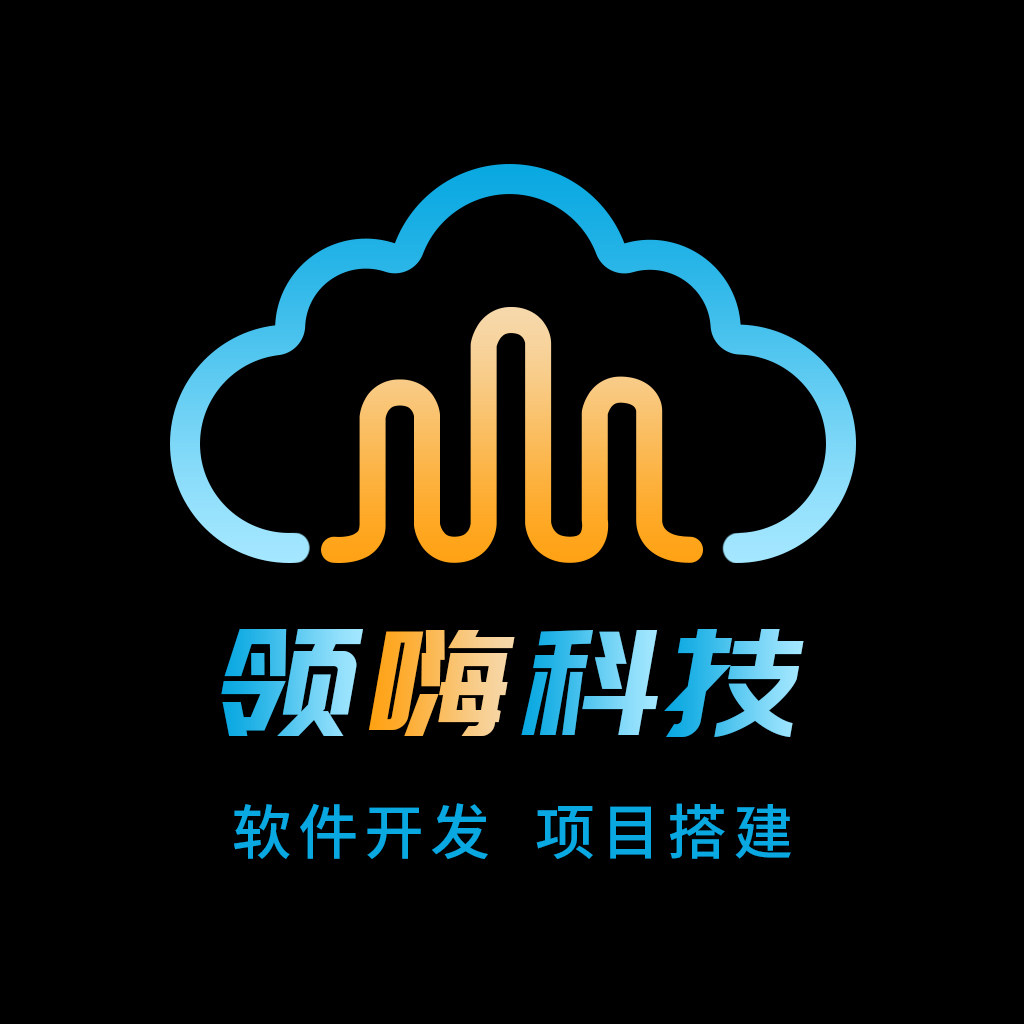 领嗨软件开发定制