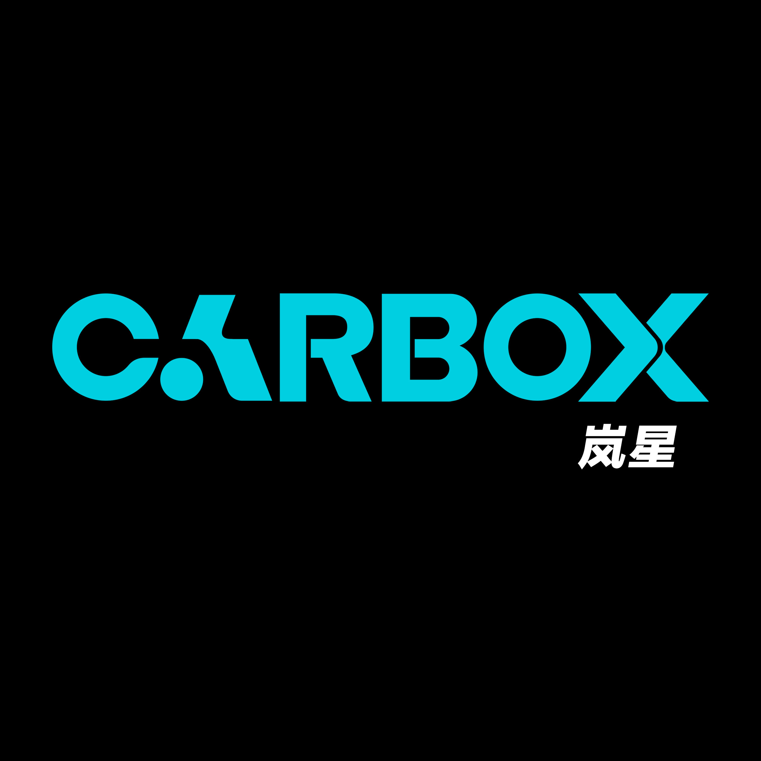 CarBox汽车模型岚星
