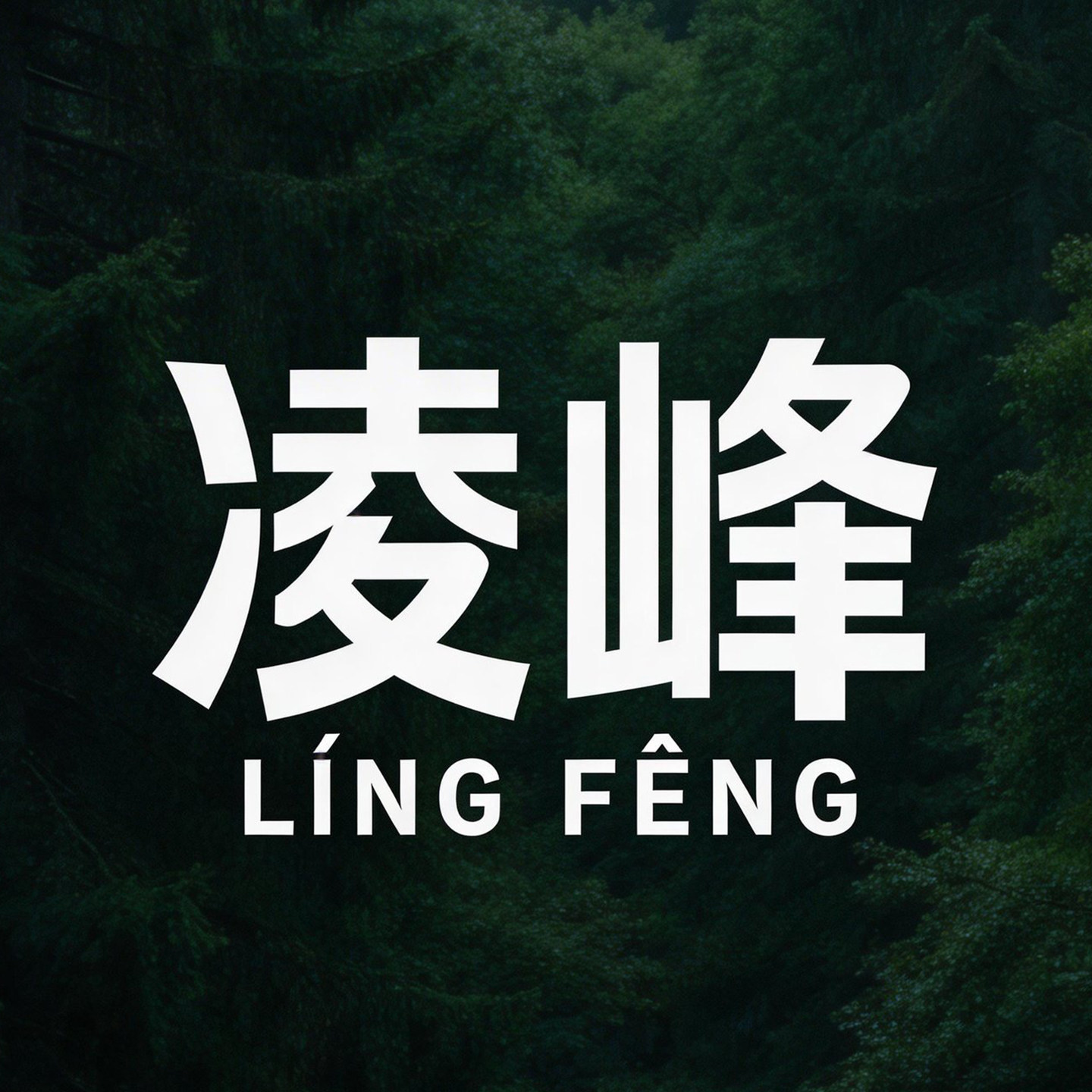 凌峰旗舰店 店铺LOGO