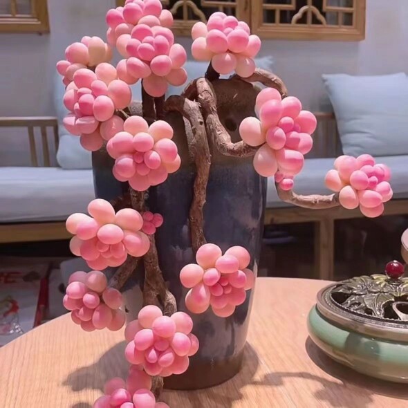 香尔卉园艺经营部