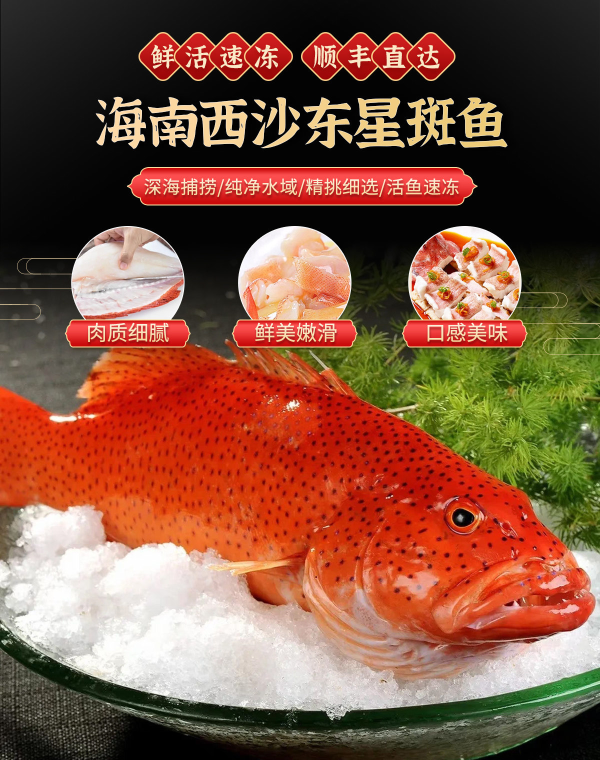 海南三沙老渔民海产品店