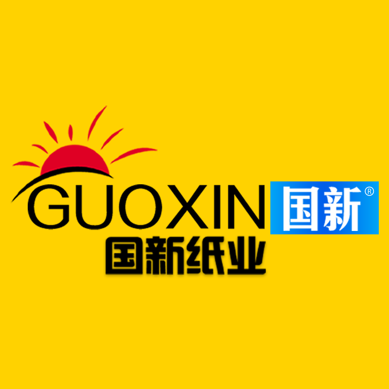 国新纸业