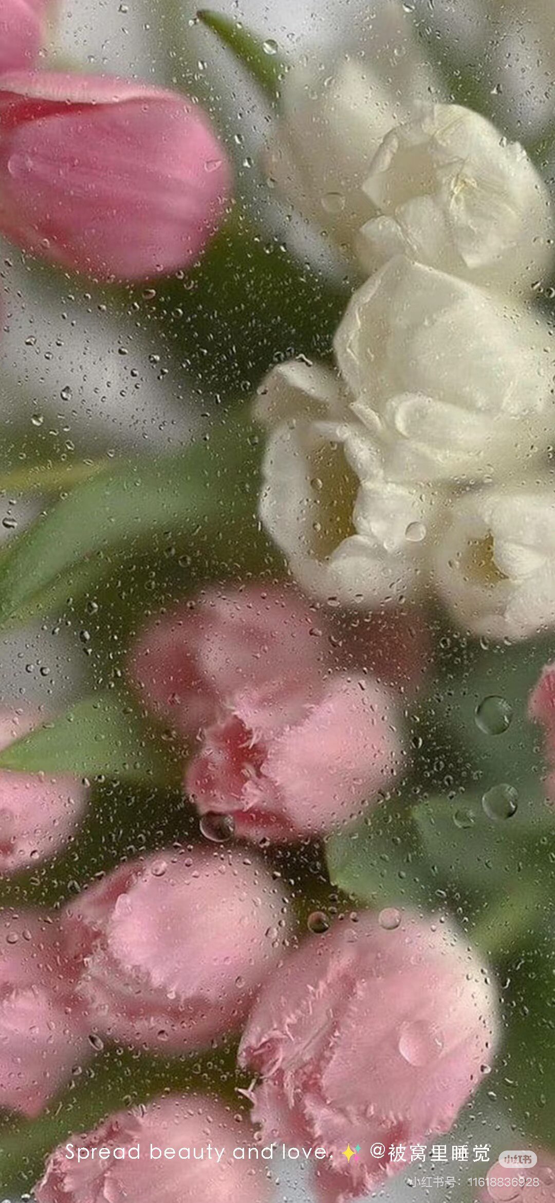 花与雾的信正品严选