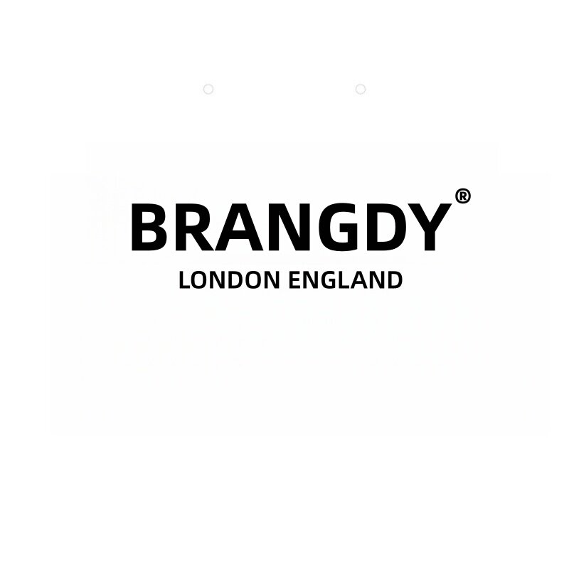 BRANGDY潮玩品牌店