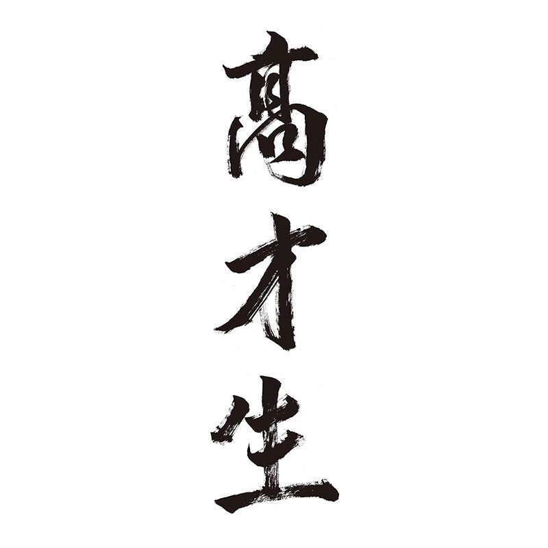 高才生旗舰店 店铺LOGO