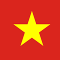 越南Vietnam进口货