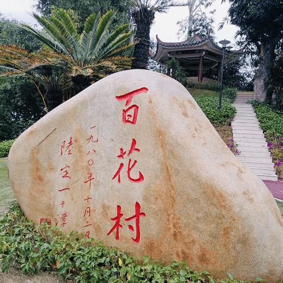 福建漳州百花村春雅绿植