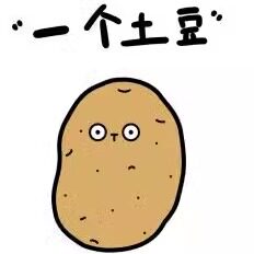萌宠GPS定位科技