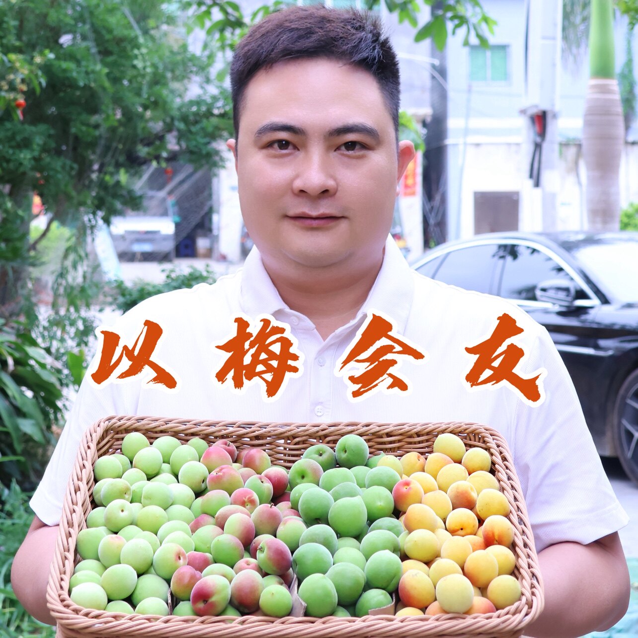 以梅会友