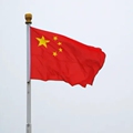 鹌鹑活苗批发养殖场