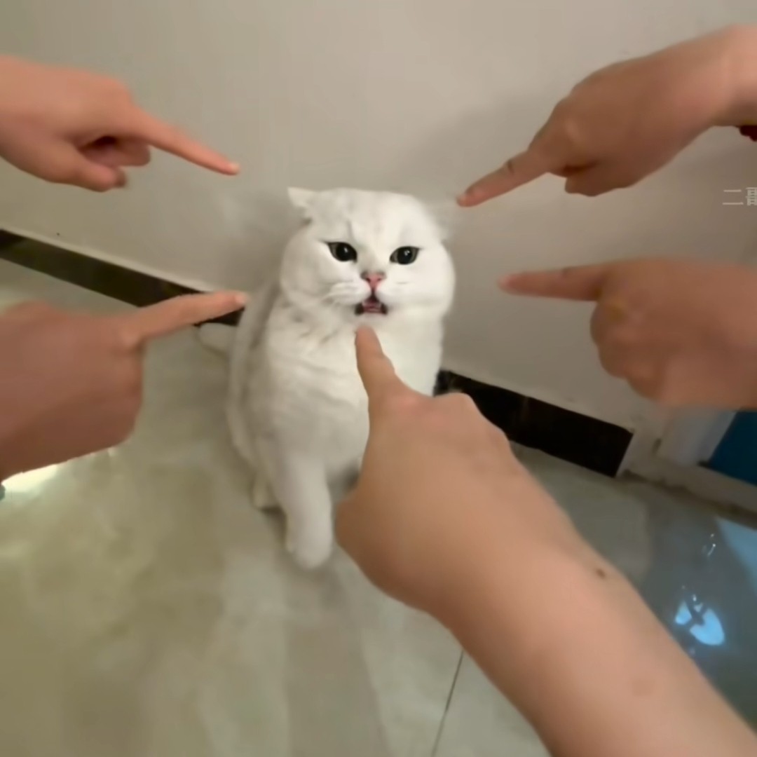 完全着衣