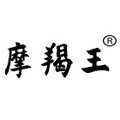 摩羯王激光 店铺LOGO