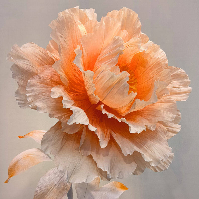 花颜花羽 店铺LOGO