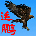 运鹏器材店