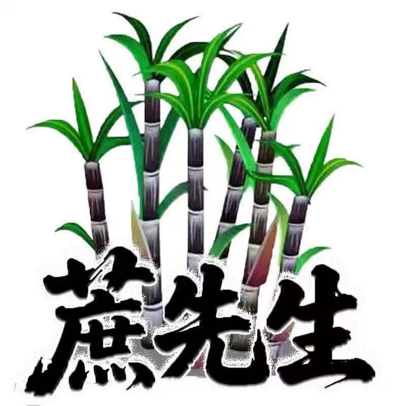 蔗先生水果生鲜官方企业店