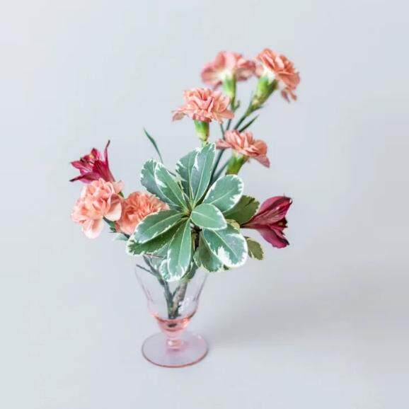 专柜精品女裤