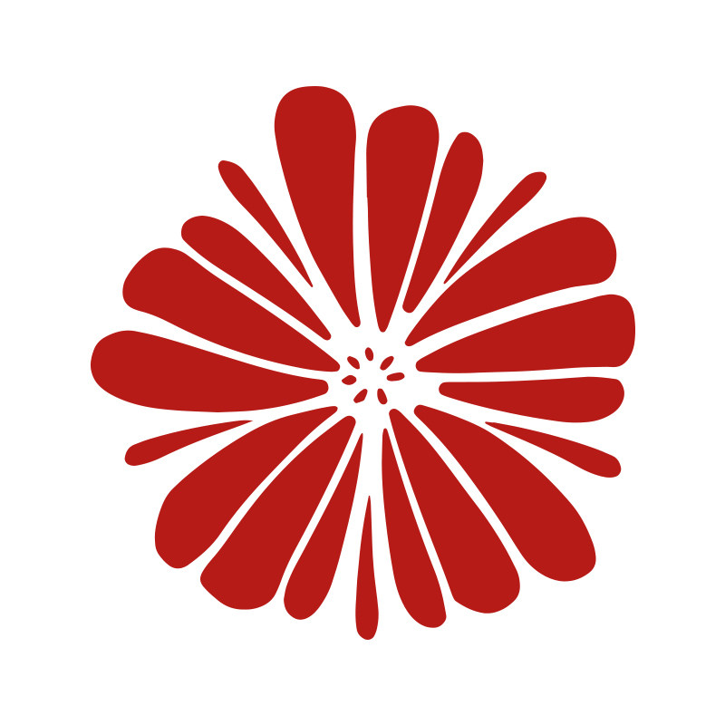 幸运的大花 每天发货到晚九点