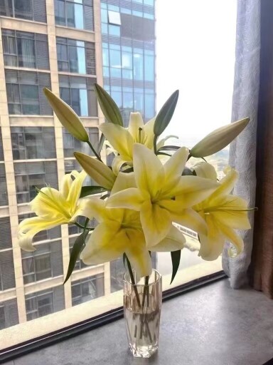 绿之缘花坊