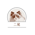 二尾宠物店