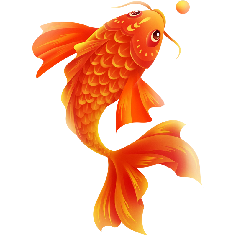 易丹水族馆