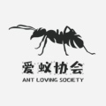 爱蚁协会