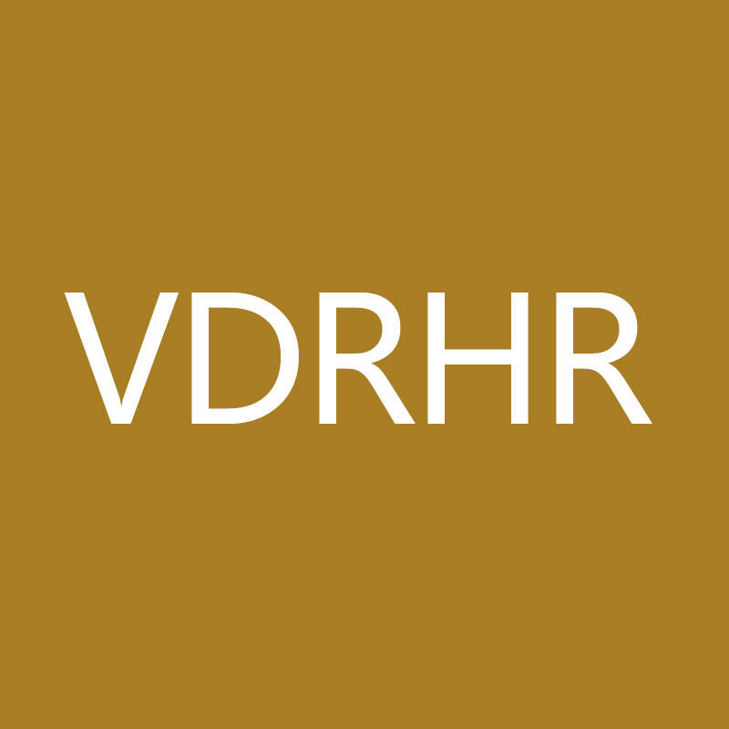 VDRHR潮鞋